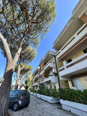 Casa Palma, Massa